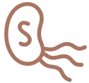 H. Pylori